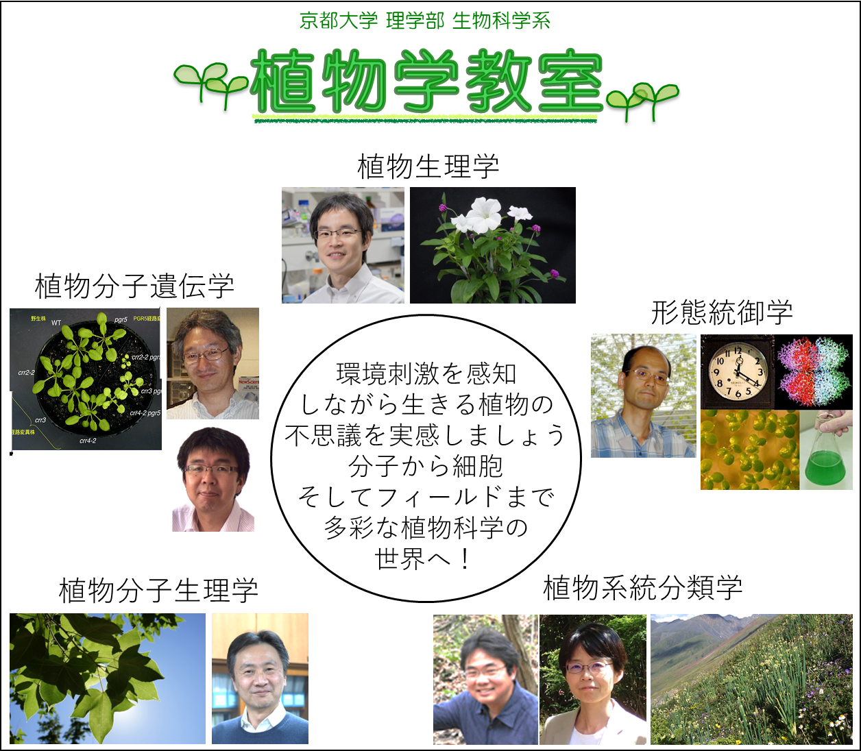 植物学